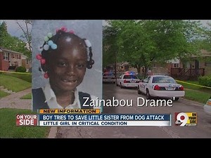 Boy tries to save little sister from dog attack