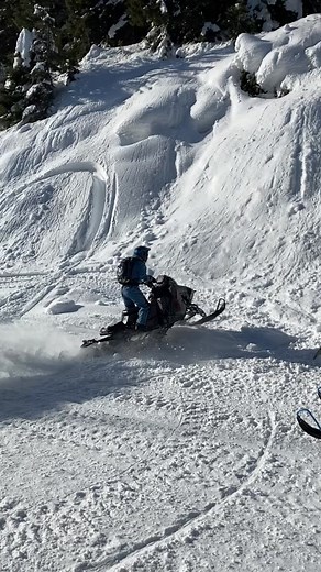 Levi Green on TikTok