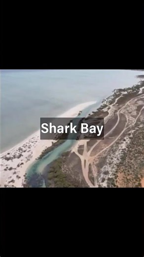 Shark Bay – Australia’s Natural Wonder 🇦🇺