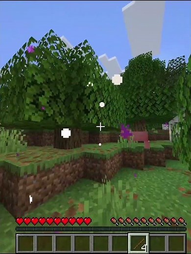 Magic Wand?#minecraft #minecraftjava