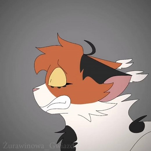 Mercy - oc lore part 1 #viralvideo #warriorcats #cat #art #oc #animation #capcut #funny #sad