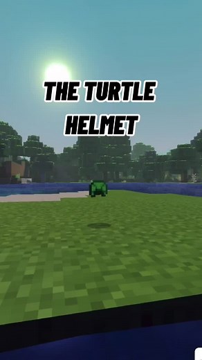 This item is insanely overpowered 😨 #minecraft #english #turtlehelmet #fyp #viral #gamertiktok #burnedpeach