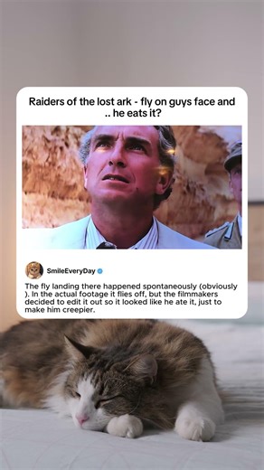 raiders of the lost ark - he eats the fly?