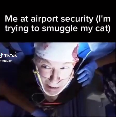 Funny Cat Scan Meme Compilation