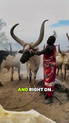 The Insane Way This African Tribe Finds Water Underground 🌍 #tribal #knowledge #wildlife