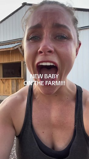 Adorable Mini Donkey Gives Birth to the Cutest Baby