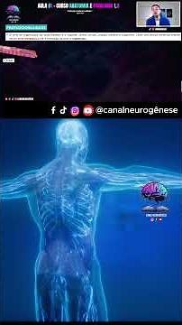 📍 HUMAN ANATOMY AND PHYSIOLOGY 📚 Full lesson on the Channel