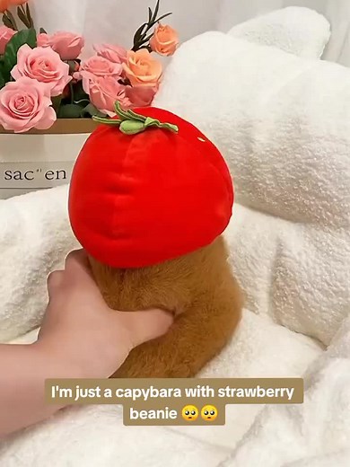 Cute Capybara Plushie with Strawberry Beanie