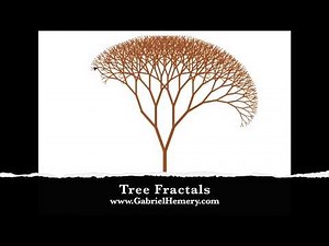 Tree Fractals