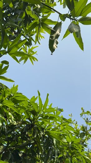 Register gurl 📝 on Instagram: "Ajoke x chikodi Father Christmas episode 😂😂😂😂😂 🎥: @johnkd_ #reels #reelsinstagram #viral #viralreels #happynewmonth #explorepage #explore #exploremore #skit #comedy #funnyvideos #funny #goviral"