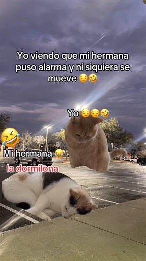 Sister's Sleep Over Alarm Antics