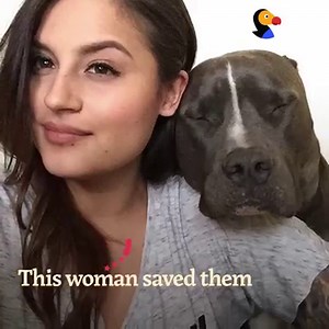 15M views · 54K reactions | This woman wasn’t sure what to do with her life until a VERY special dog came along. Indica taught her how to enjoy the simple things — and made her fall in love with pit bulls. Today on Pittie Nation, watch how Indica changed everything for her mom and inspired her to fill her house up with foster dogs ❤️ | Pittie Nation | Facebook