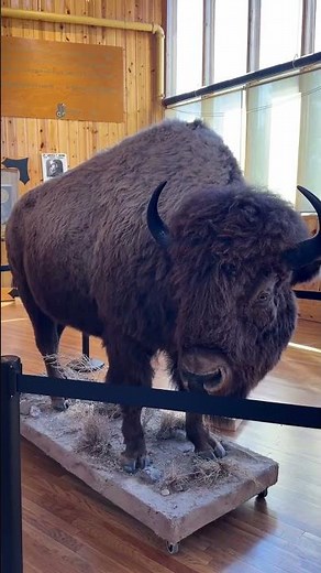 Travel: inside the museum at the Crazy Horse monument in South Dakota