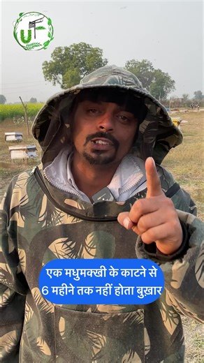 1.8M views · 10K reactions | मधुमक्खी (Honeybee) के काटने के फ़ायदे  Bee Venom Therapy #honeybeetherepy #beevenom #honeybee #uniquefarming | Unique Farming | Facebook