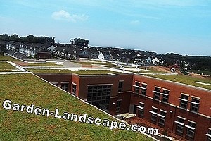 Garden Practice: Green Roofs: Plant, Care And Costs - My Beautiful Garden | 2025