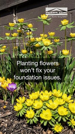 Spring Can Hide Foundation Problems (Don’t Ignore This)
