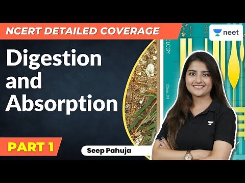 NCERT Detailed Coverage | Digestion & Absorption | Part - 1 | NEET 2023/2024 | Seep Pahuja