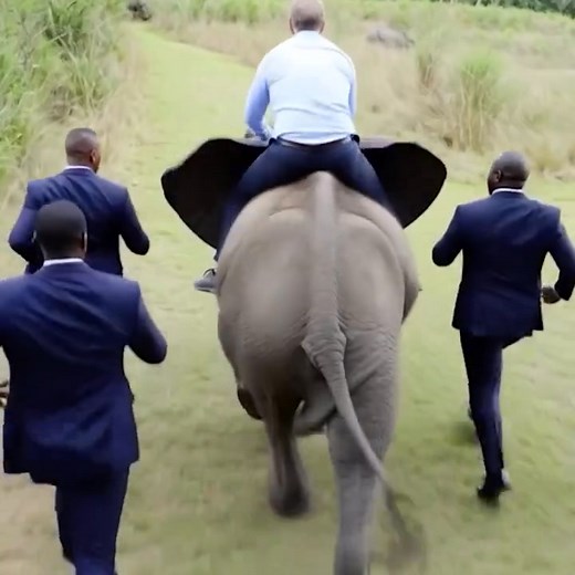 Donald Tusk w Afryce! 😆 | Tusk Vision Network