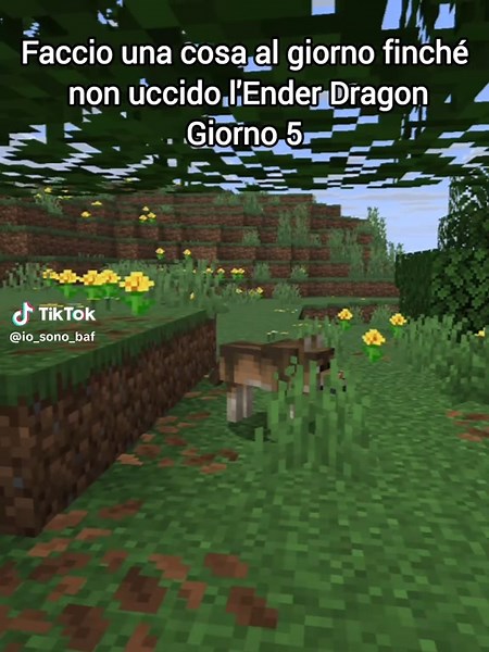 è ancora molto lunga#minecraft #perte #fyp #neiperte #memecut