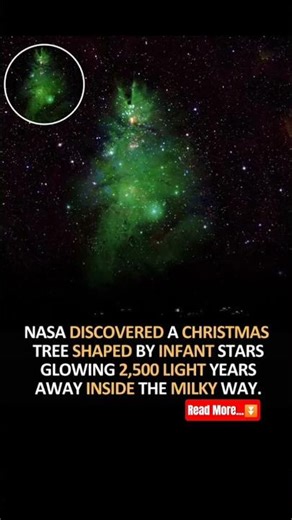 NASA spotted baby stars shaped like a glowing tree in space 🌌⭐