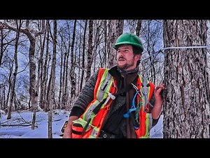 A Day at the Maple Sugar Bush: Tapping Season | Types of Tools, Line Repairs & How to Tap Maples