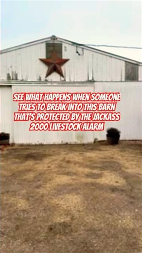 Jackass2000 the alarm that keeps jackasses out