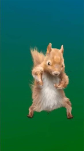 12 de dezembro de 2025