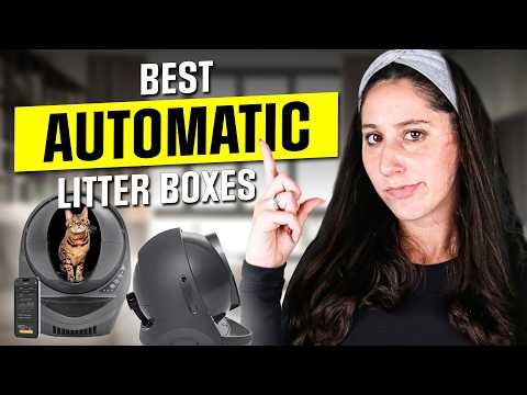 Best Automatic Litter Boxes: Is It Worth Buying?