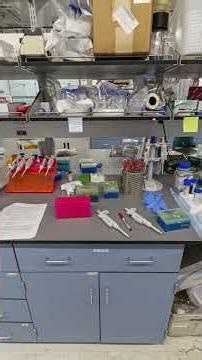 Race is not a biological category - Here is the actual science
