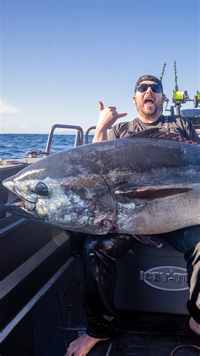 Never miss a strike | TALICA | Shimano Fishing New Zealand