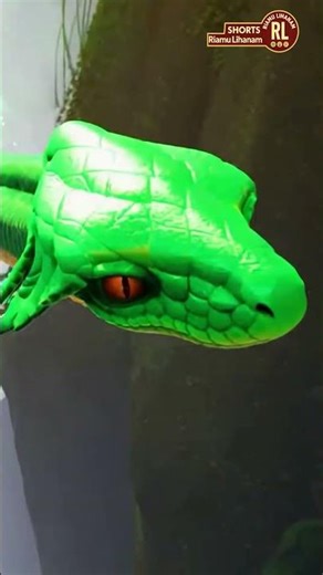 Nagin Saves the Emerald Nagmani #nagin #shorts #viralvideo