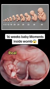 16 weeks baby Moments inside womb Ultrasound Scan😱 #16weeksbaby #16weekspregnant #pregnancyjourney #pregnantlife #babyultrasound