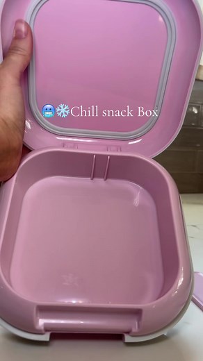 Los mejores lunch boxes que mantienen tus snacks fríos