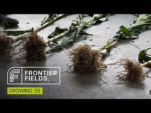 Frontier Fields S2 | Episode 7