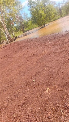 Andrea Wilson (@andrea.wilson621)’s videos with original sound - Dax