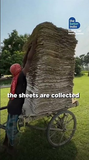 Watch How Waste Can Be Turned Into Paper! | #recycling