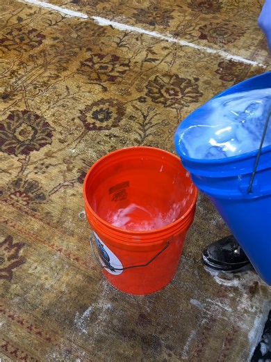 Deep Clean Yellow Rug: Remove Pet Urine Odor & Stains
