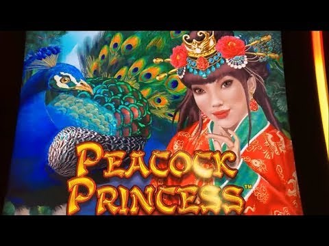 ★GREAT PROFIT ON FREE PLAY★PEACOCK PRINCESS (DRAGON LINK) Slot /Slot Live Play☆Pechanga Casino☆彡栗