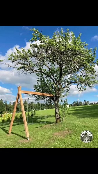 How to Mount Your Swing Beam to a Tree Like a Pro
