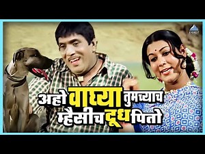 अहो वाघ्या हा तुमच्याच म्हैसीच दूध पितो | तुमचं आमचं जमलं Tumcha Aamcha Jamla | Dada Kondke Movie