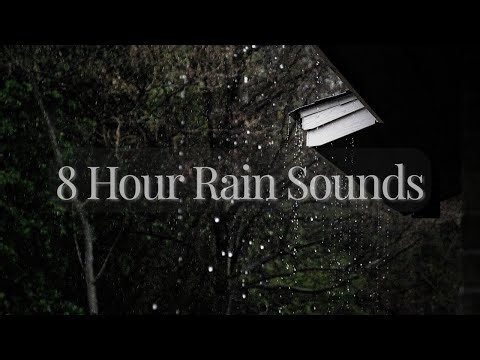8 Hour Rain Sounds | Gentle Rain for Sleep, Relaxation & Study
