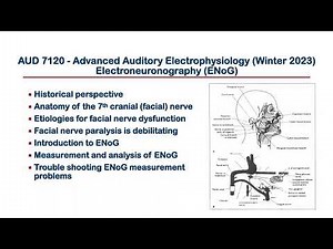 Electroneurography ENoG NARRATED