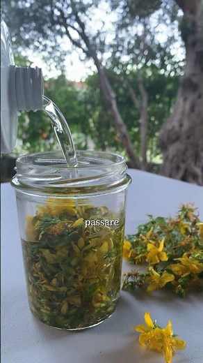 🌼 How to make St. John's Wort oil | Plant-based recipes | The gentle spoon