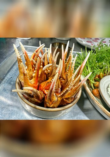 Exploring The Desert Spoon in Spring Branch Texas