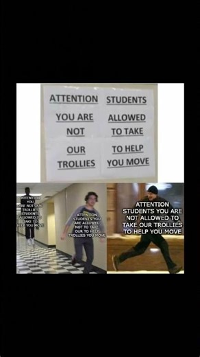 #naofloppa Wrong Punctuation = Instant Confusion 🧠🤣