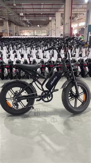 ASKMY E500 Electric Bike: Power Meets Versatility