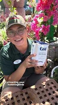 Keep Hummingbirds Happy With This Simple Cleaning Trick