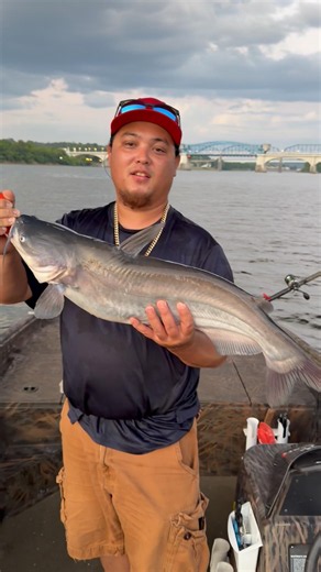 His first chatt cats fish #chattcats #chattcatsfishing #okumafishing #okumacatslayer #demondragons