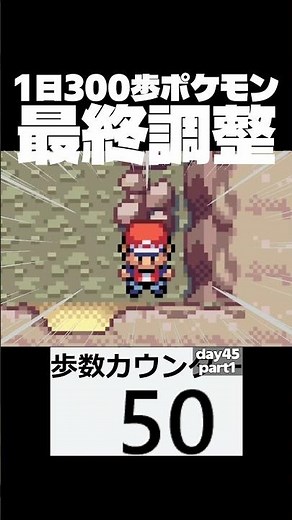 Final adjustments - Day 45 - Part 1 [300 steps a day in Pokémon FireRed]
