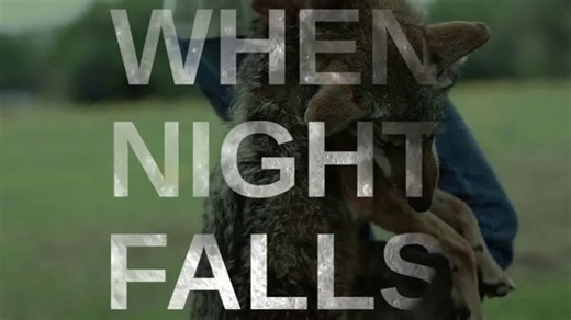 Sightmark Wraith Thermal TV Spot, 'When Night Falls'